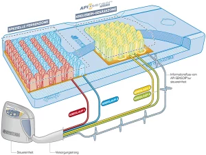 xtech 25 therapeutische matratze